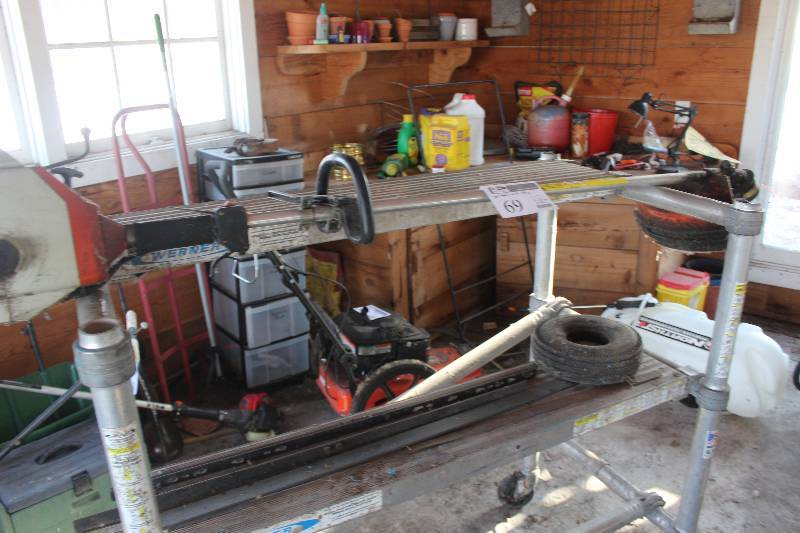 lot 69 image: Gas Weed Trimmer