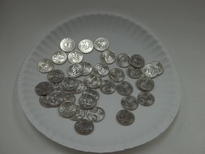 Assorted State Quarters