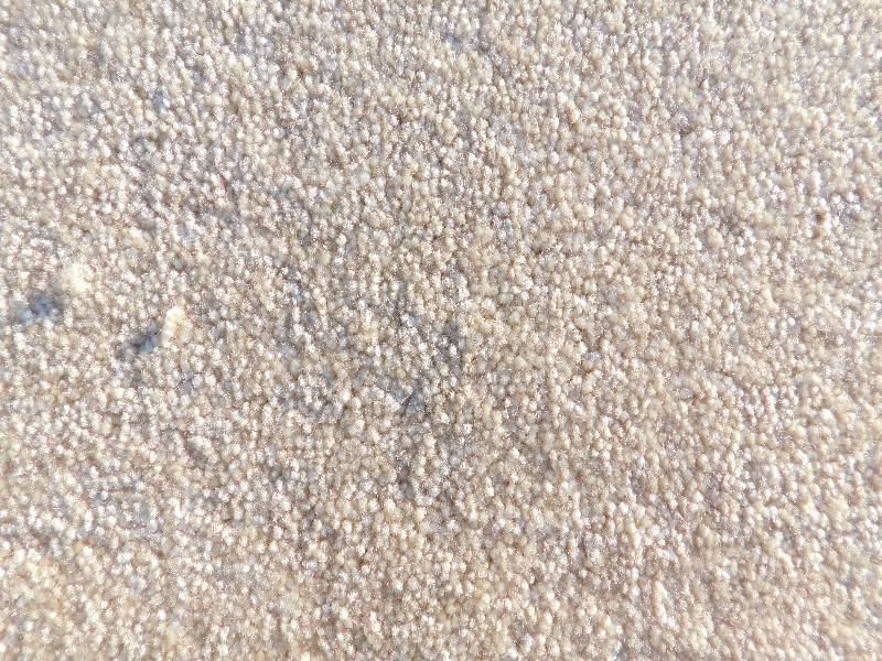 2x6 Large Blank Runner