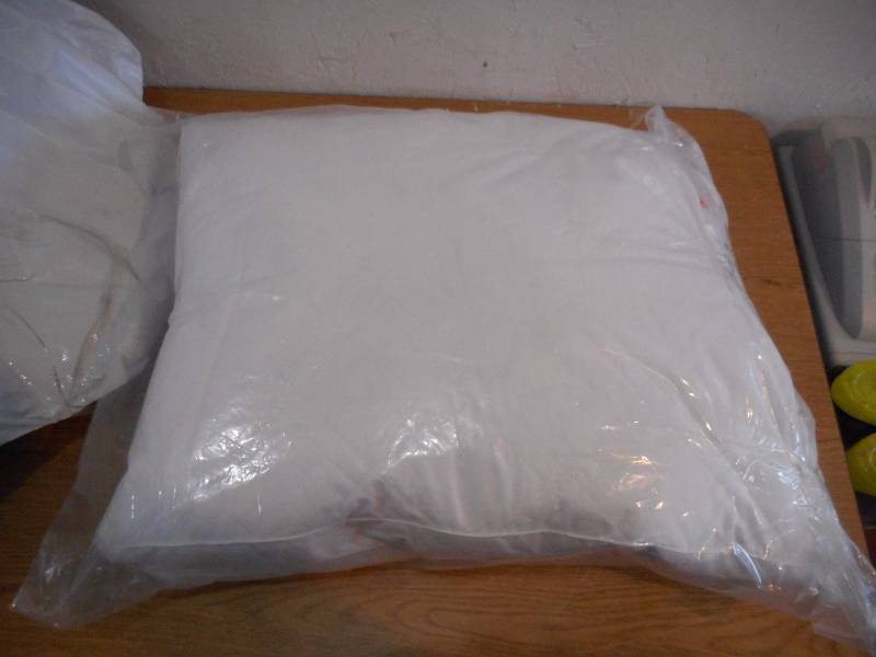 Quilted Down Pillows 2-Pack