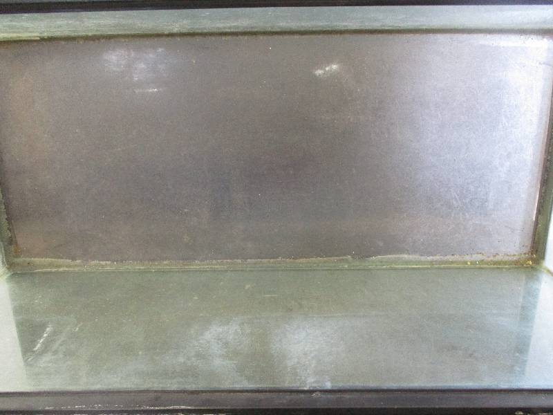 lot 40 image: 20 Gallon Aquarium