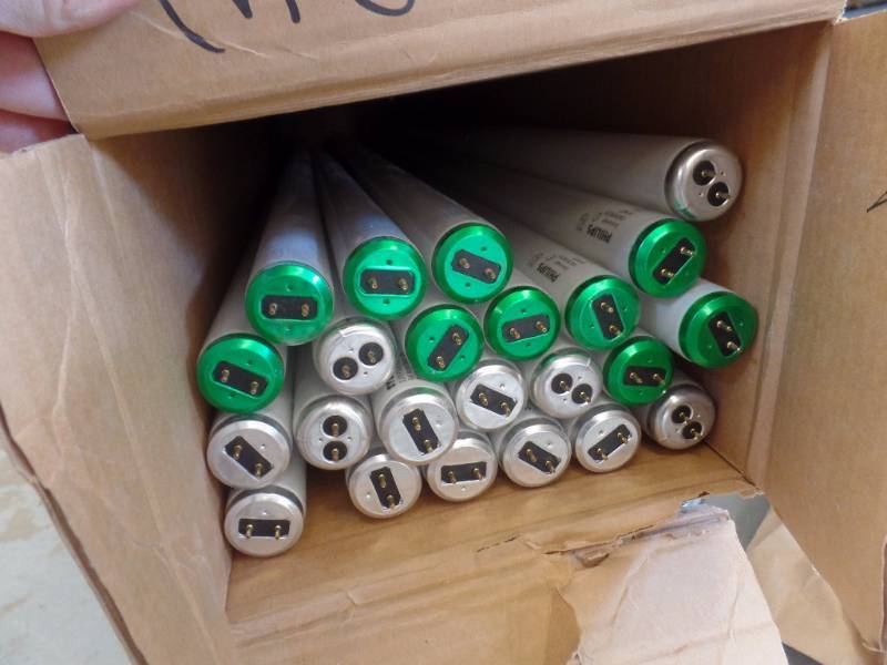 Fluoresent Bulbs