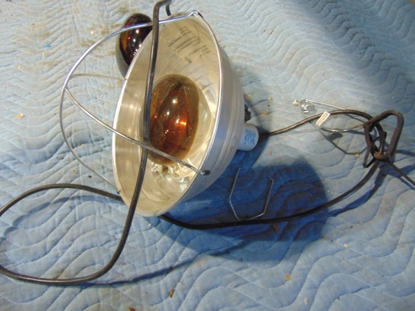 lot 5 image: Heat Lamp With Extra Bulb