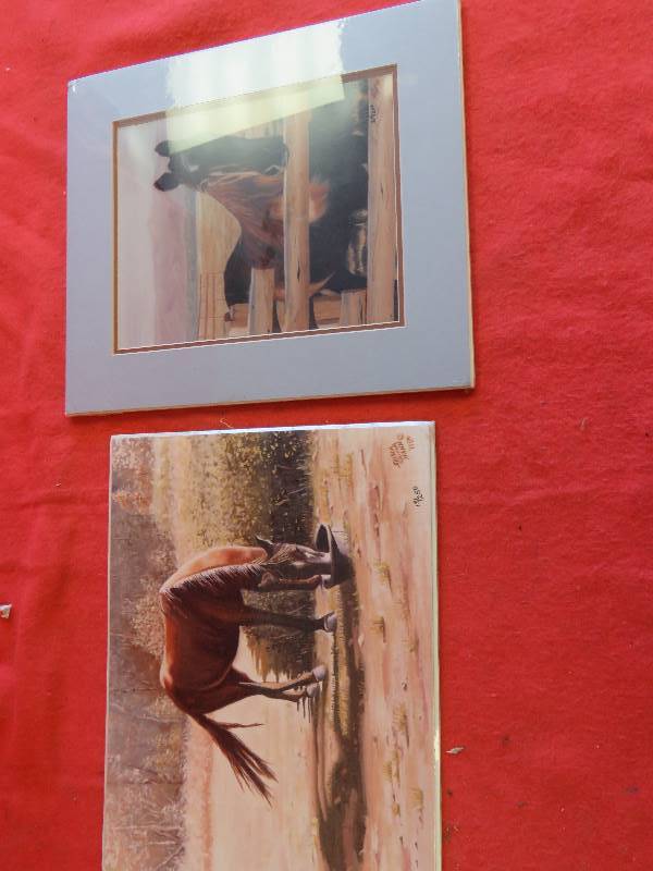Oil Paintings