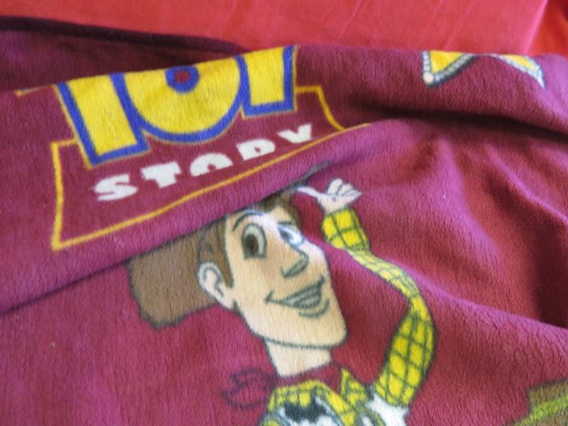 Toy Story Fleece