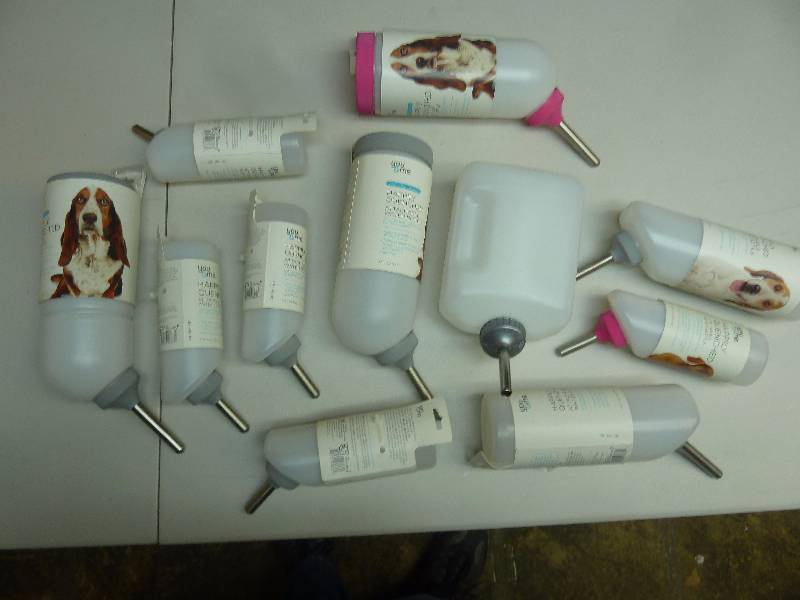 Pet Lot