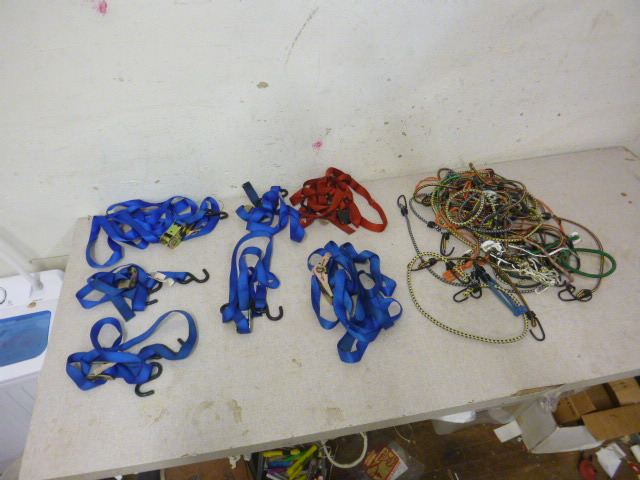 lot 85 image: Straps and Bungee Cords