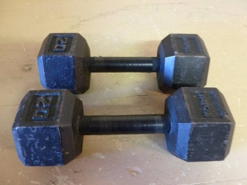 lot 169 image: Iron Barbells