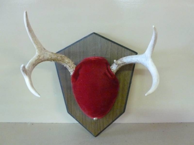 lot 234 image: Deer Antler