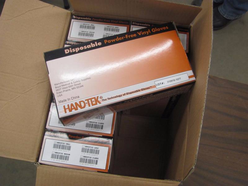 lot 205 image: 800 Count Disposable Powder Free Disposable Vinyl Gloves