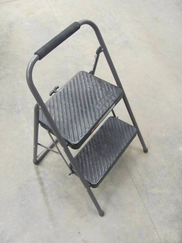 lot 220 image: Cosco 18 Step Stool