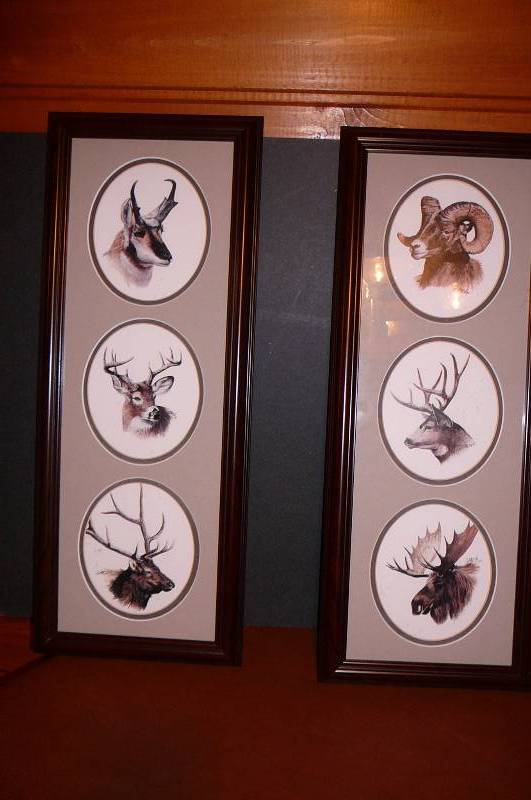lot 209 image: Wild Life Picture 10 x 26