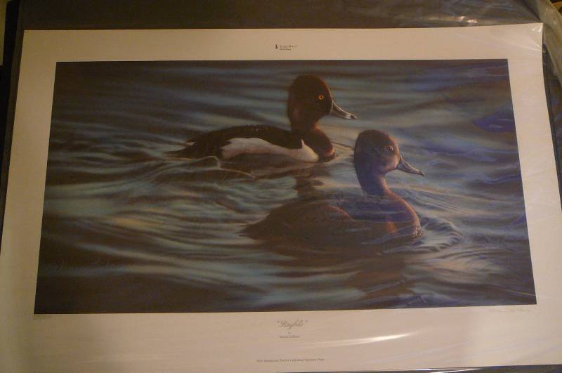 lot 273 image: Ringbills 2005 Ducks Unlimited Sponsor Print By Karen Lathem - Unframed Sealed 1094500 24 x21