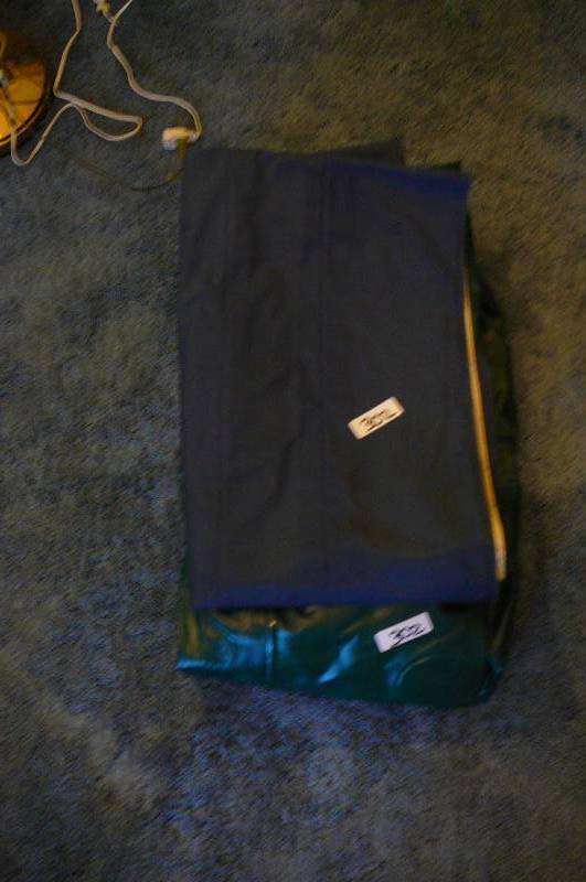 lot 302 image: Blue Air Mattress, Green Air Bed
