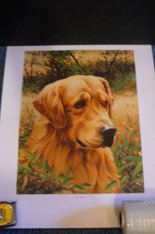 lot 320 image: Sample Prints