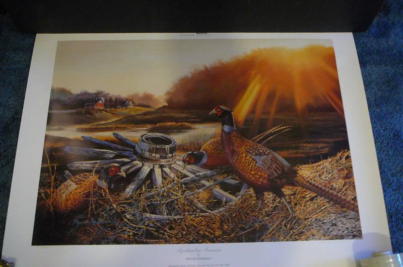 lot 322 image: September Sunrise