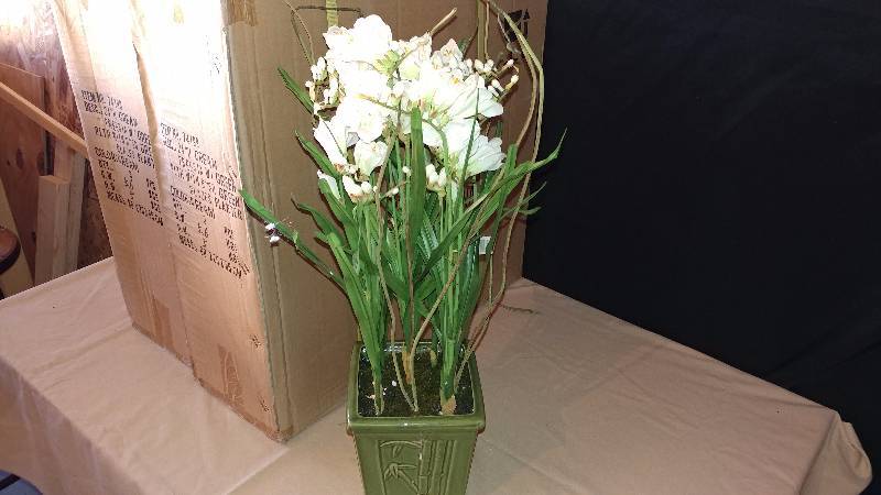 lot 269 image: 6 - 24 Freesia with Planter