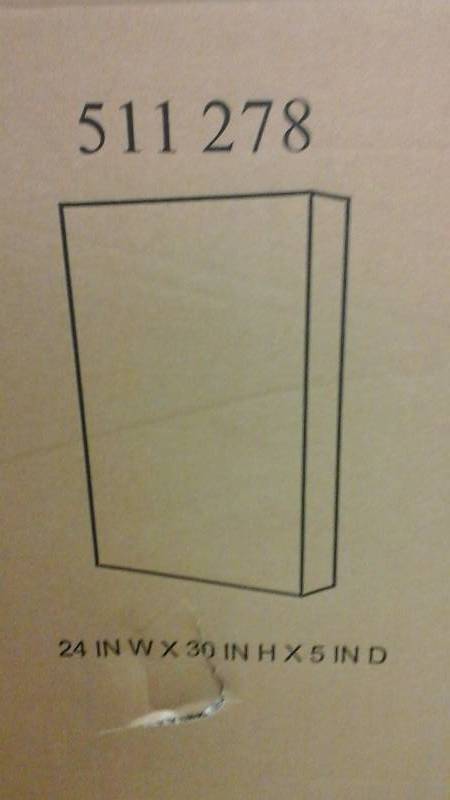 Pegasus 24 in. W x 30 in. H x 5 in. D Frameless Recessed or Surface-Mount Bathroom Medicine Cabinet with Beveled Mirror