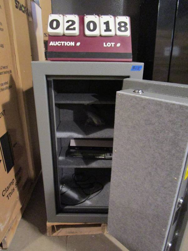 lot 18 image: Total Defense Executive Safe
