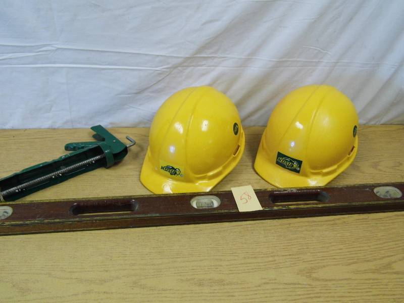 NDSU Hard Hats - Level