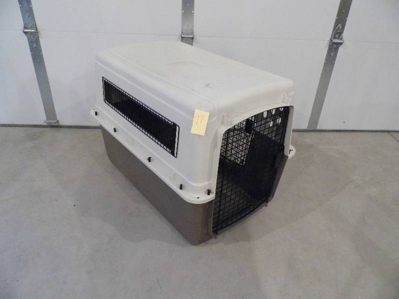Large Pet Lodge Kennel