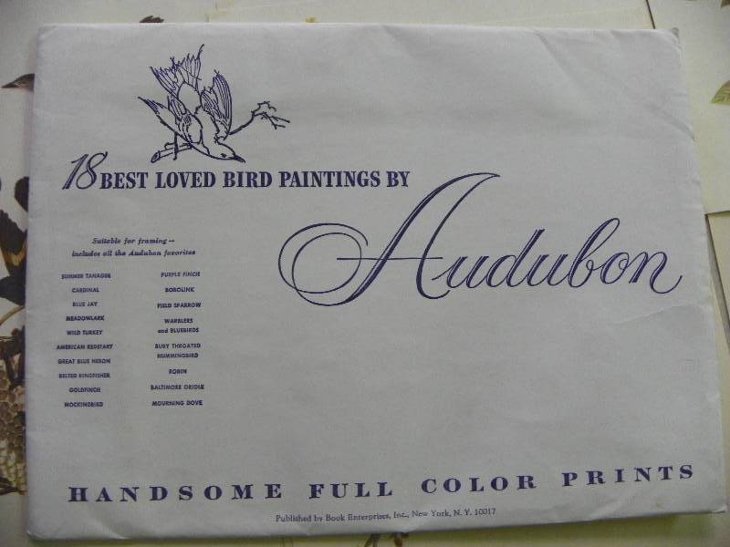Audobon Bird paintings