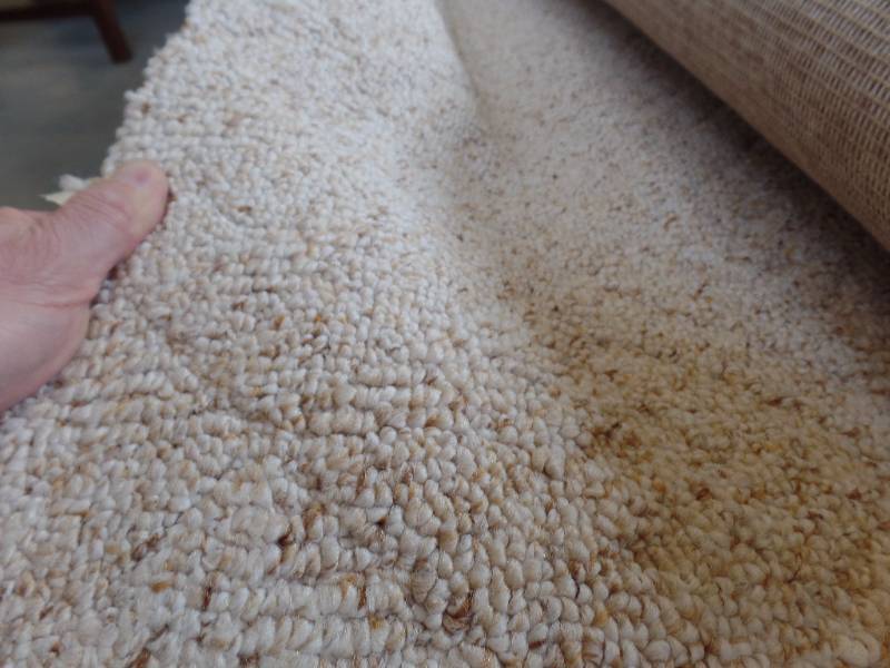New Carpet