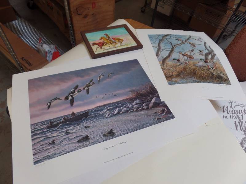Wildlife Prints