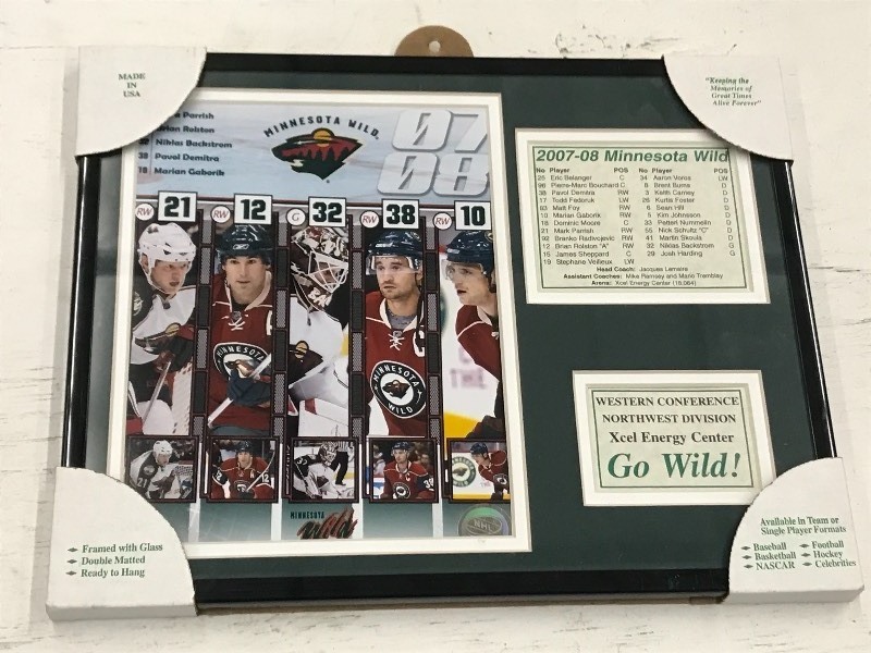 2007-08 MN Wild Framed Memorabilia ...