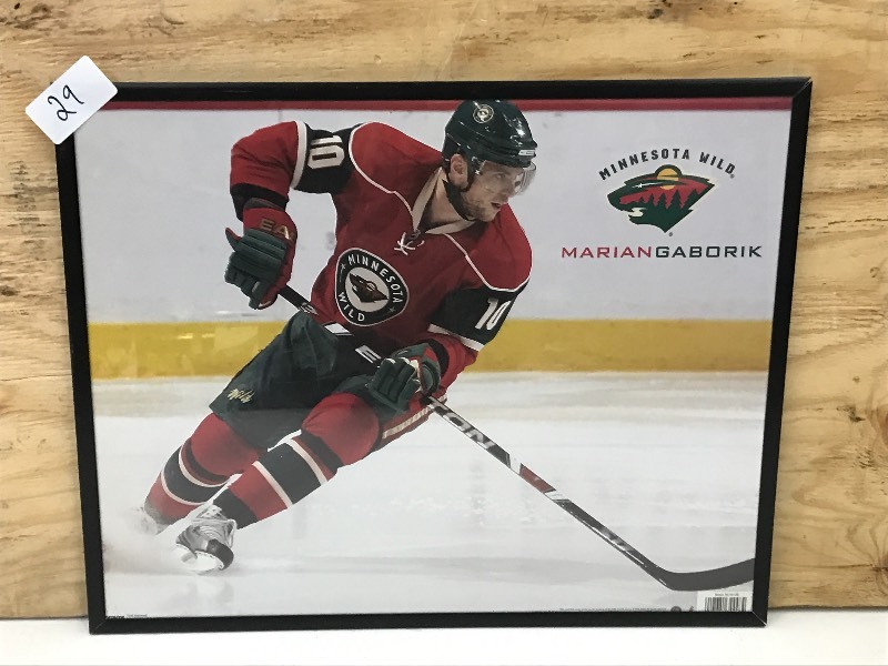 16x20 Framed MN Wild Marion Gabor...
