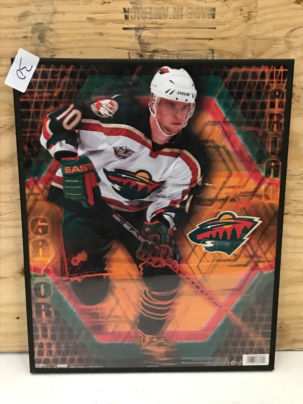 16x20 Framed MN Wild Marion Gabor...