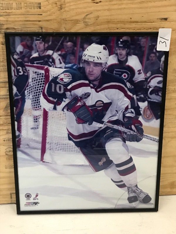 16x20 Framed MN Wild Marion Gabor...
