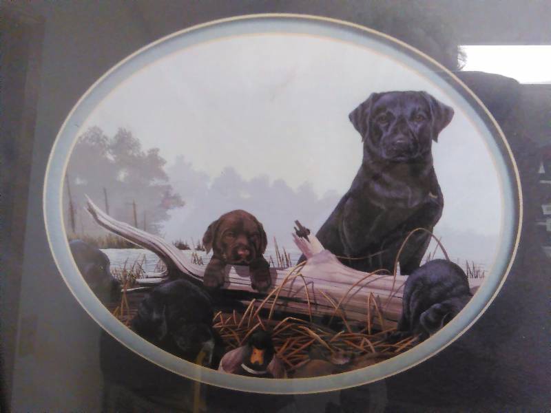 lot 267 image: Bird Hunting Labs Print, Framed, 13 x 16