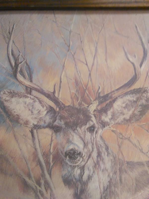 lot 511 image: K. Maroon, 1978, Mule Deer Painting, 20.5 x 24.5