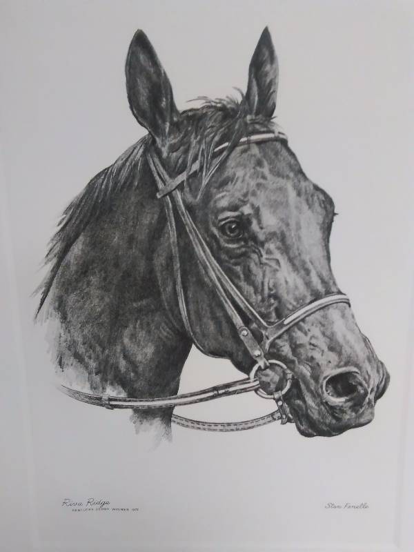 lot 514 image: Horse Prints, (6) each measure 12 x 15