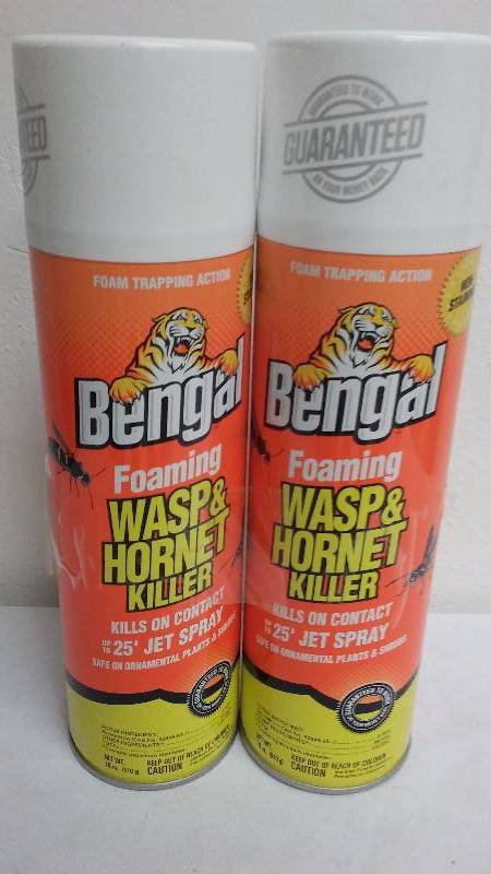 lot 260 image: Foaming Wasp and Hornet Spray (18 oz. each) by Bengal (2)
