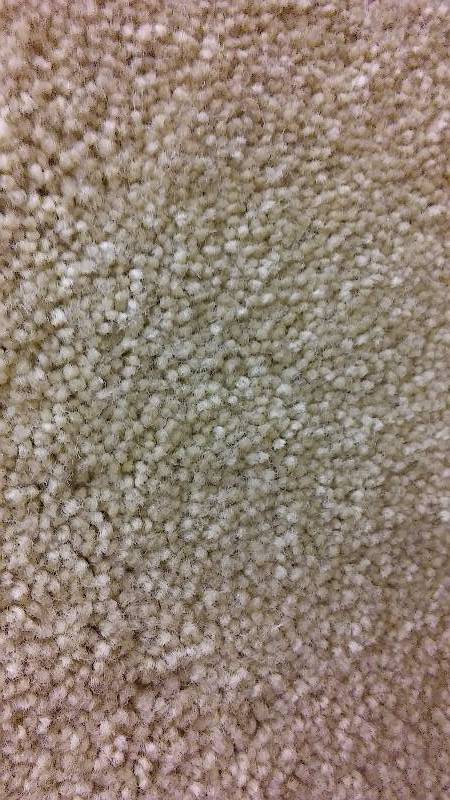 lot 402 image: Carpet plush light tan - 14 foot x 12 foot.