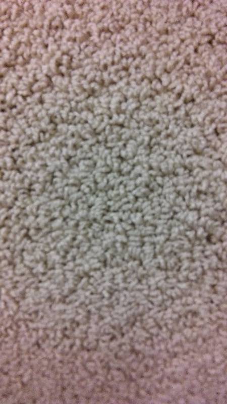 lot 401 image: Carpet Beautiful sculptured Berber, light tan, 14 foot by 12 foot.