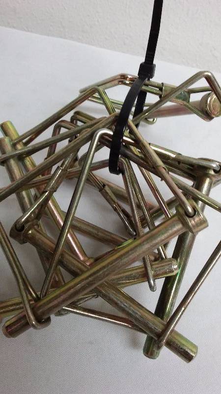 lot 437 image: 2.5 Inch Hitch Pin (10)