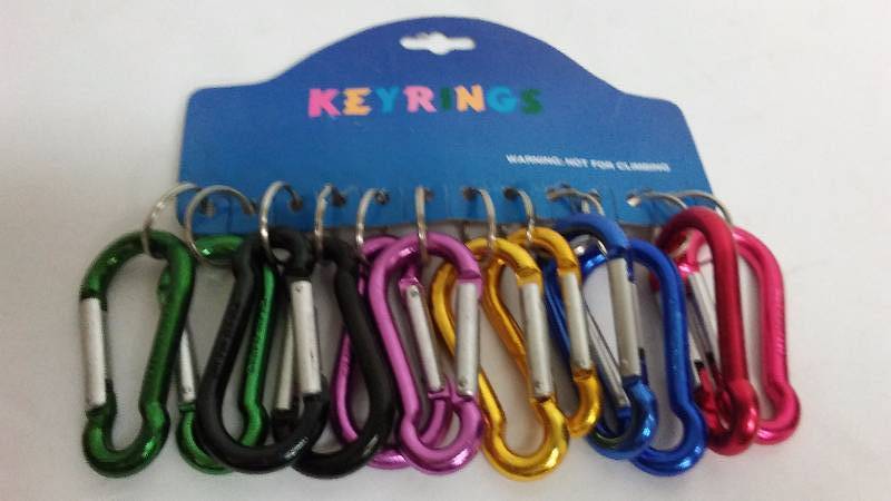 lot 443 image: Spring Link Keychain (12)