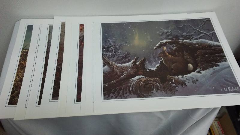 lot 619 image: Vintage Ted Blaylock, set of 12, Nature Prints Each Print measures 16 x 13 inches