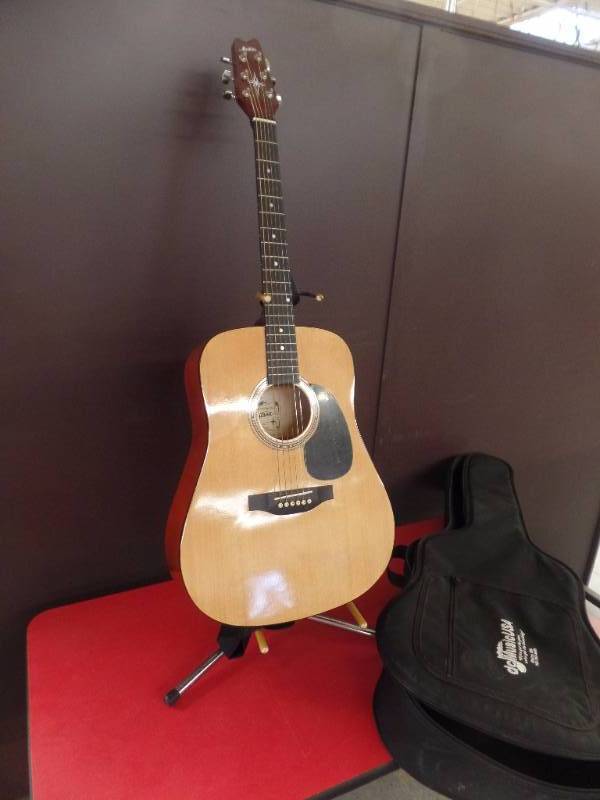Acoustic Guitar