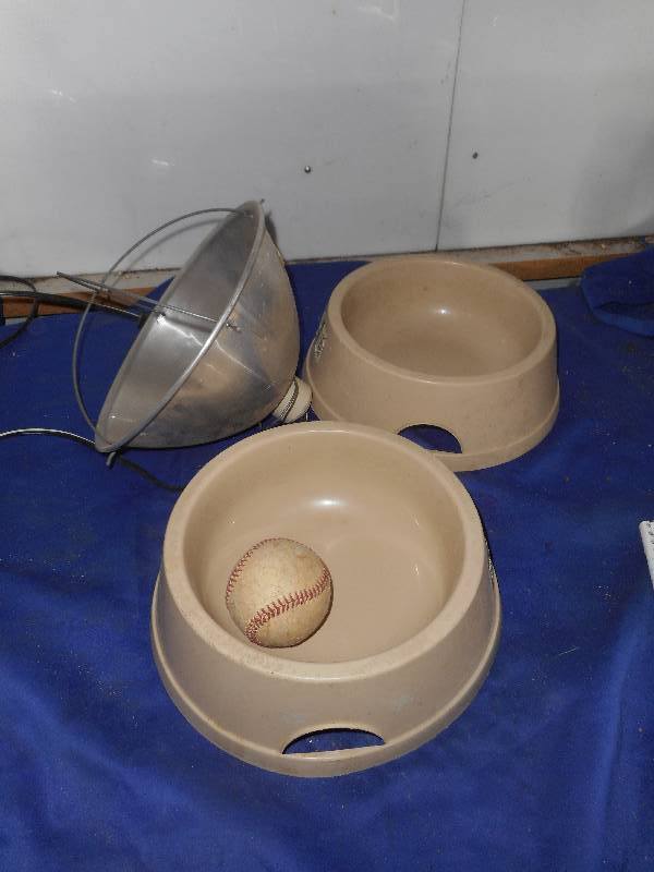 HEAT LAMP AND DOG BOWLS