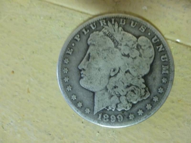 Morgan Silver Dollar