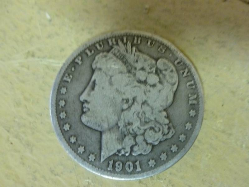Morgan Silver Dollar