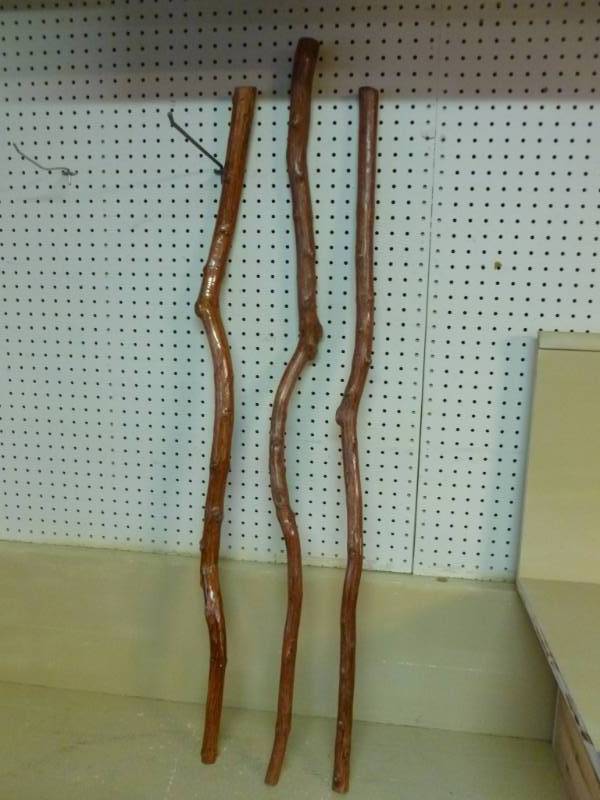 Walking Sticks