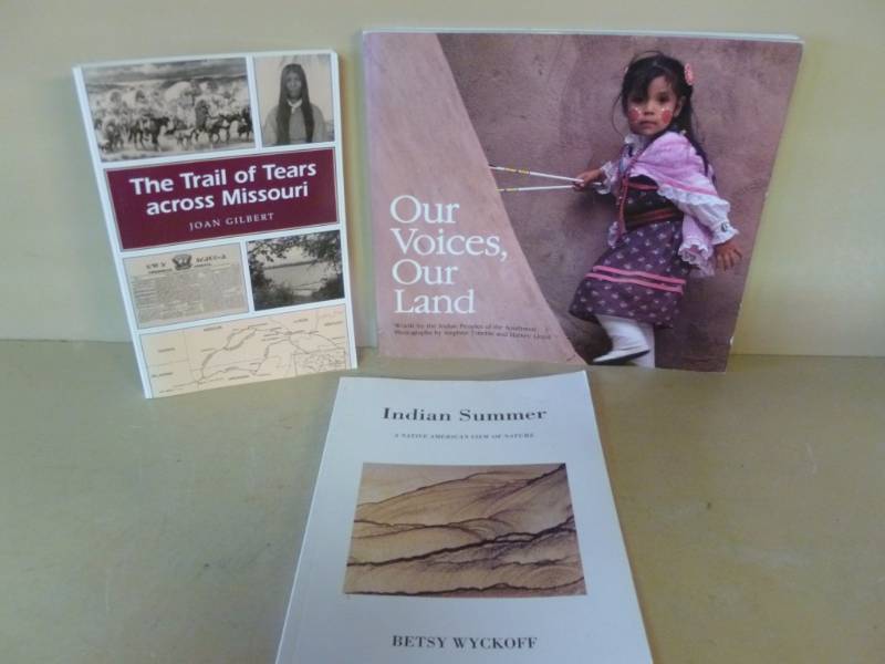 Native American Themed Books
