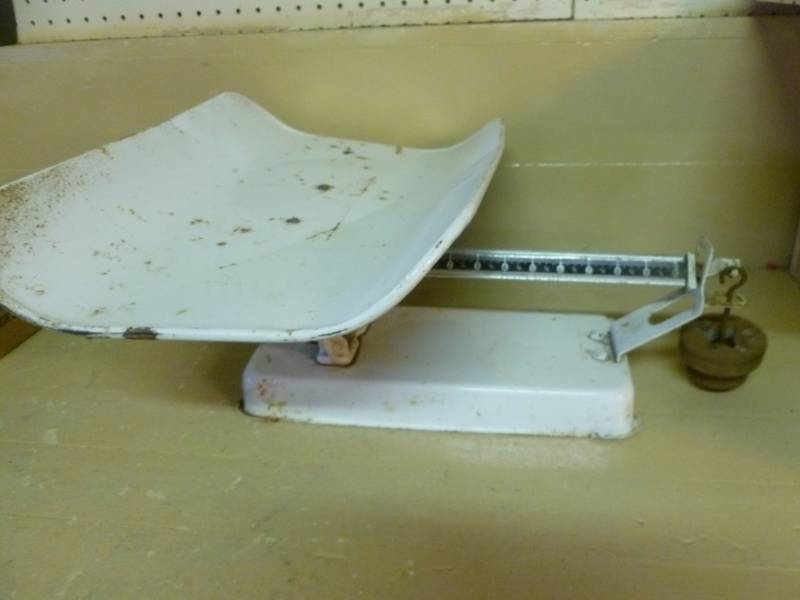 Vintage Scale