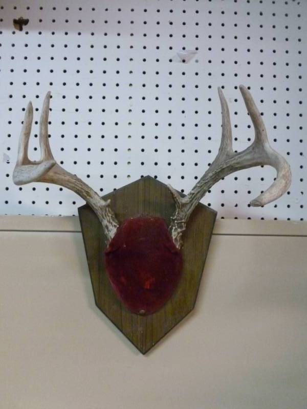 Deer Rack