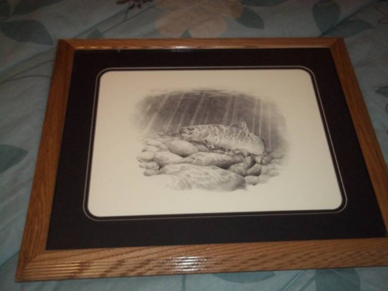 lot 8 image: Framed Trout Fish Print